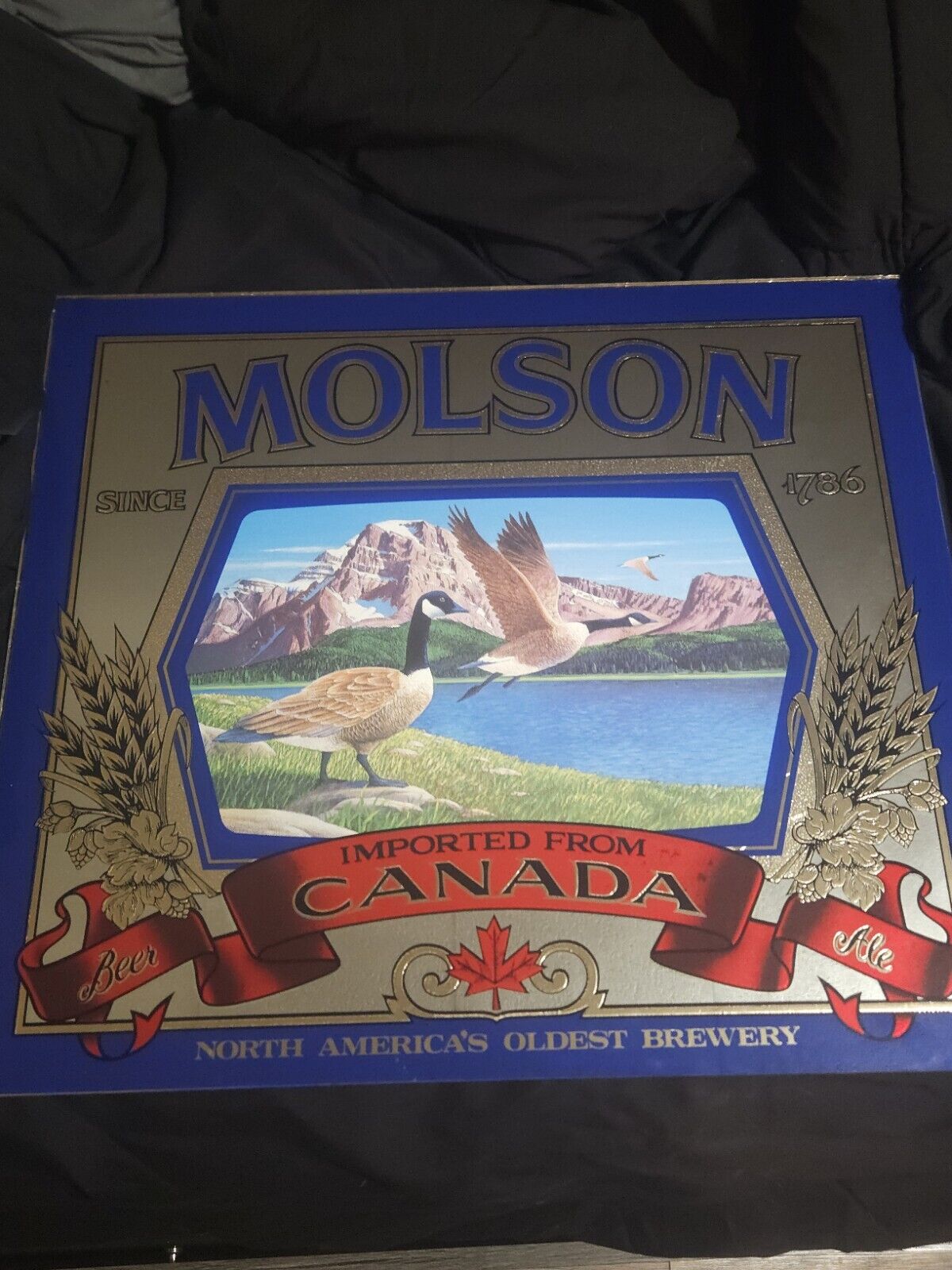 Vintage Molson Canadian Sign Glass 14x14 molson