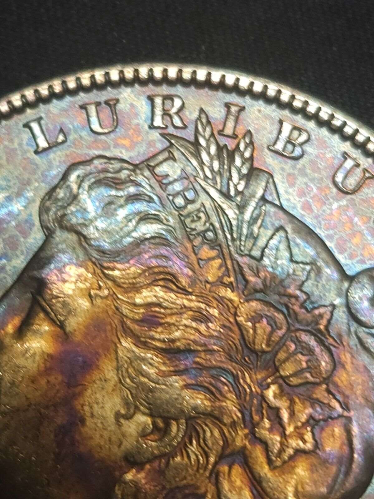 1887 Monster Toned Morgan Dollar Bu