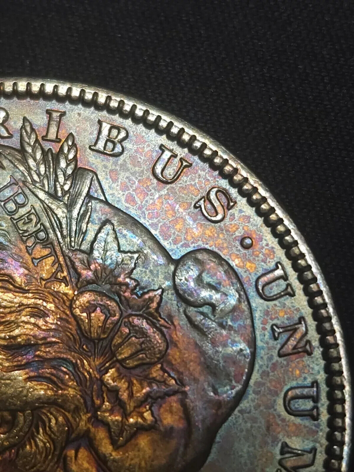 1887 Morgan Dollar Bu Monster Toned